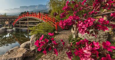 Экскурсии в `Японский сад "Шесть чувств" в отеле "Мрия"` из Кореиза