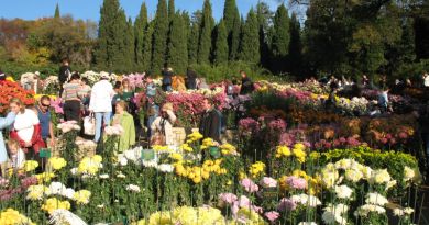 Экскурсия из Алупки: Никитский  ботанический сад фото 5774