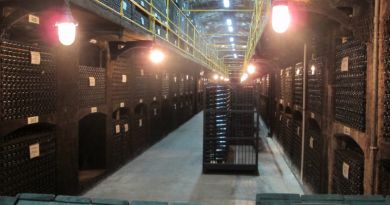 Интересный ракурс: винодельческий комбинат «Массандра»