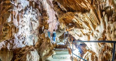 Экскурсии в Скельская пещера из Кореиза 2024