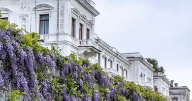 Авто-пешеходная экскурсия из Алупки (фото 2)