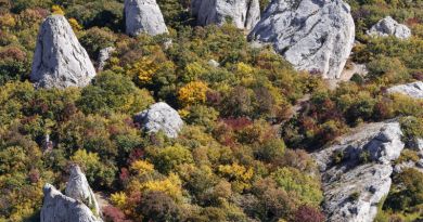 Экскурсии в `Храм Солнца, «Крымский Стоунхендж»` из Кореиза