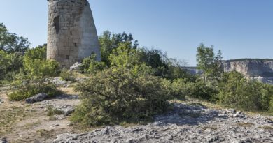 Экскурсии в `Бельбекская долина` из Кореиза